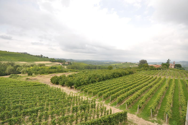 Appartamenti Villa Crissante La Morra Langhe