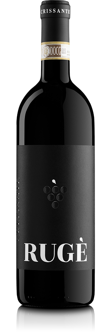 Barbera d'Alba Superiore Rugè Crissante Alessandria